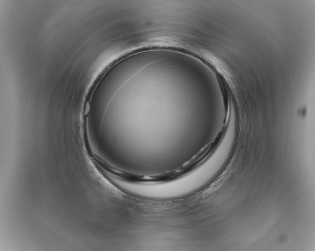 X0000090981334200708091449