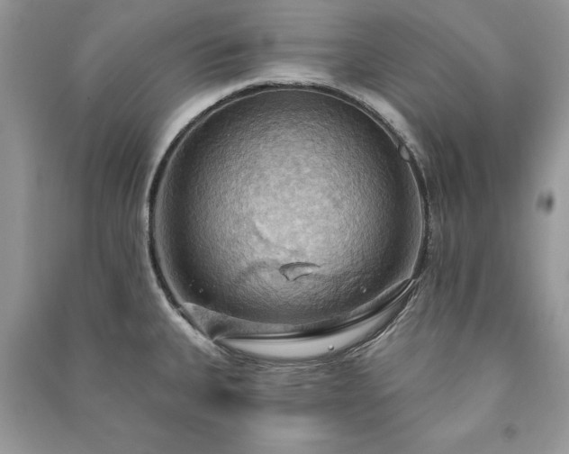 X0000090981335200708091450
