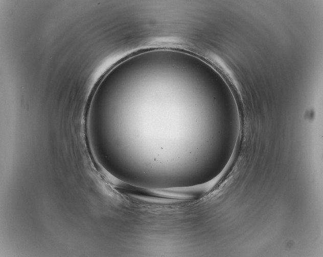 X0000090981336200708091450