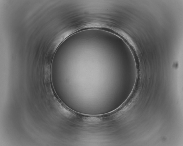 X0000090981337200708091450