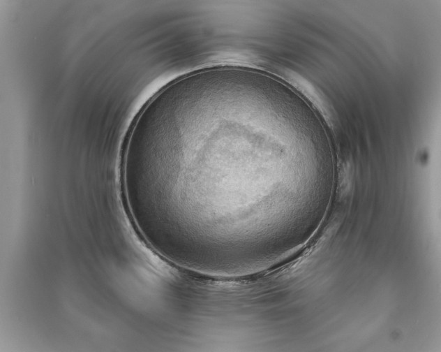 X0000090981339200708091450
