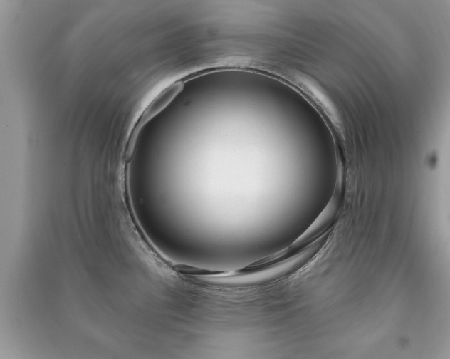 X0000090981340200708091450