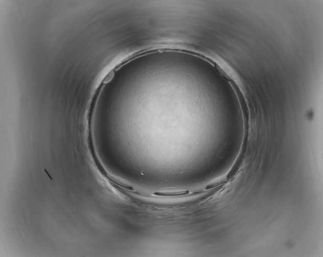 X0000090981341200708091450