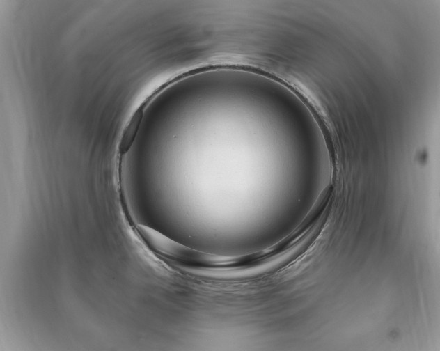 X0000090981342200708091450