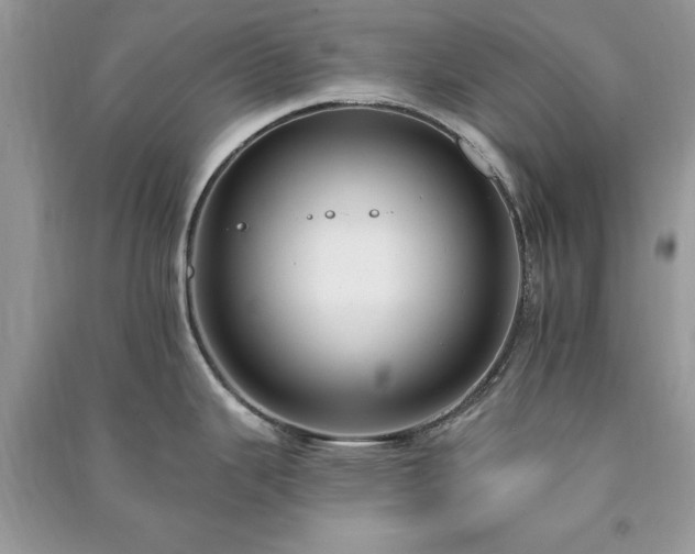 X0000090981343200708091450