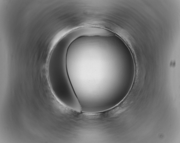 X0000090981344200708091450