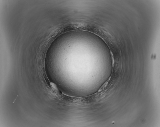 X0000090981345200708091449