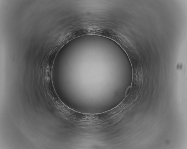 X0000090981346200708091449
