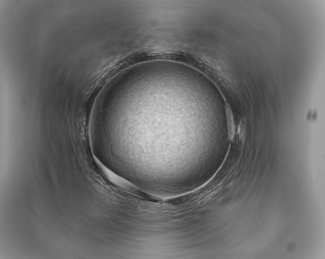 X0000090981348200708091449