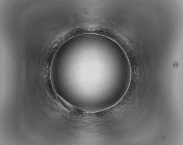 X0000090981349200708091449