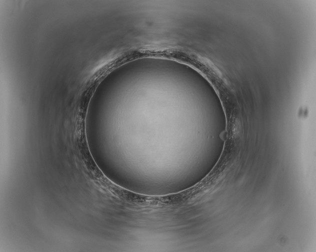 X0000090981350200708091449