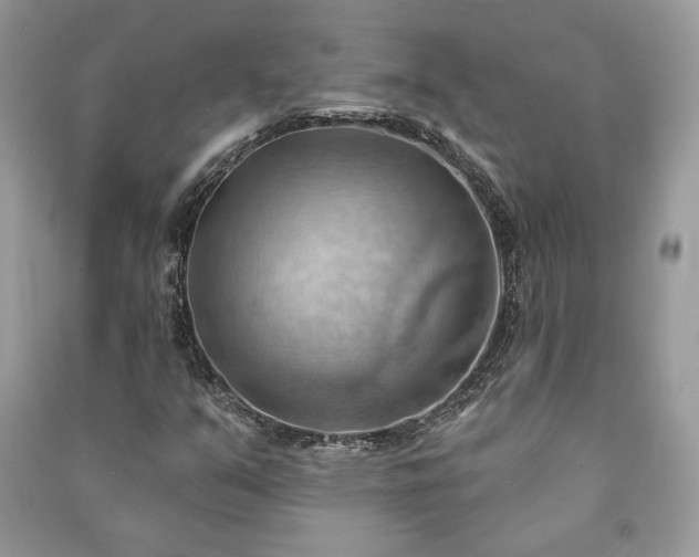 X0000090981351200708091449