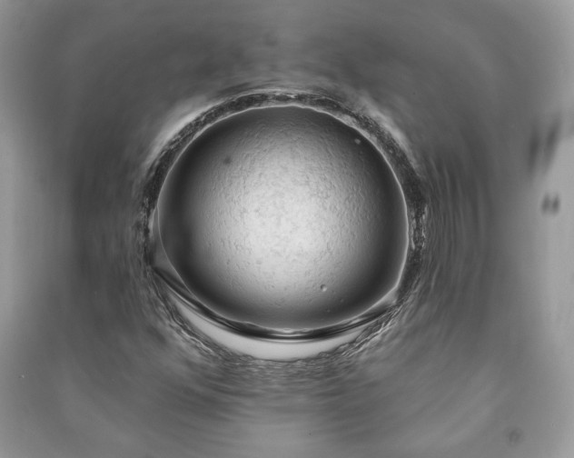 X0000090981352200708091449