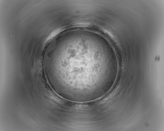 X0000090981354200708091449