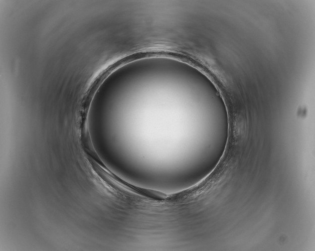 X0000090981356200708091449