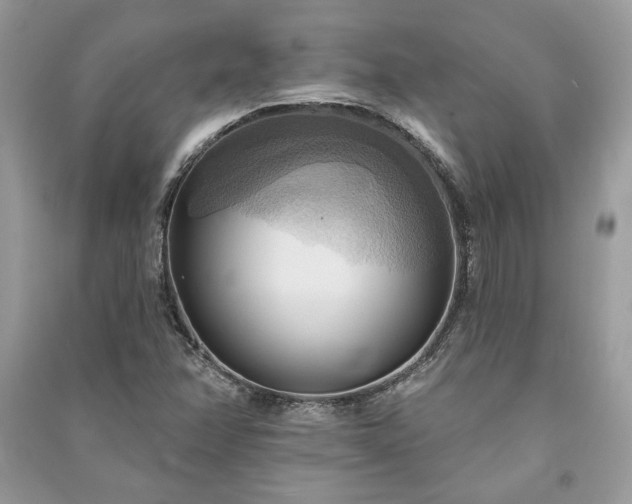 X0000090981358200708091449