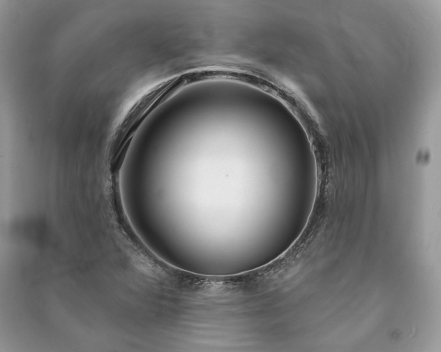 X0000090981360200708091448