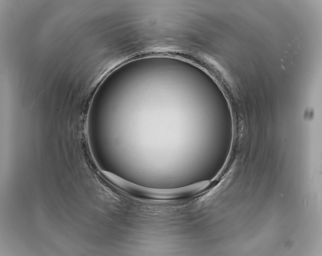 X0000090981361200708091448