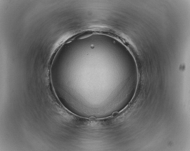 X0000090981362200708091448