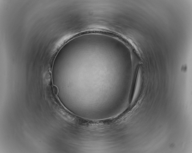 X0000090981363200708091448