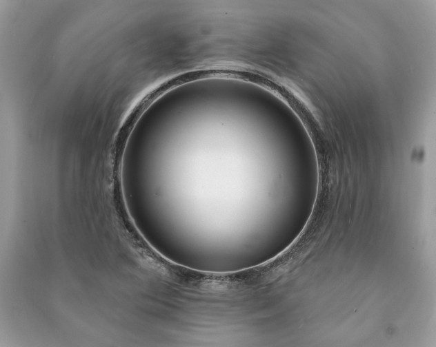 X0000090981364200708091448