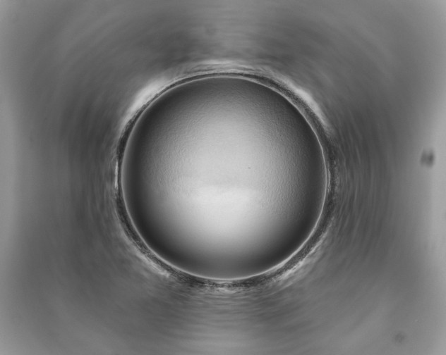 X0000090981365200708091448