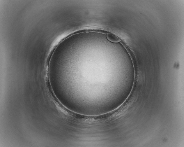 X0000090981366200708091448