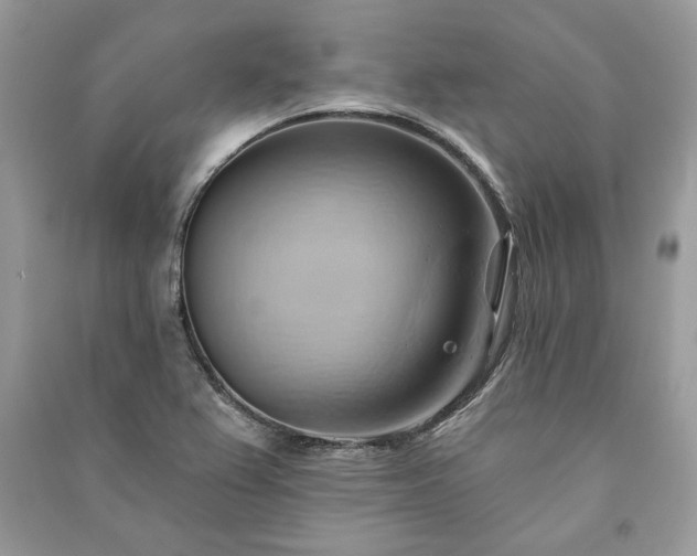X0000090981367200708091448