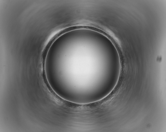 X0000090981368200708091448