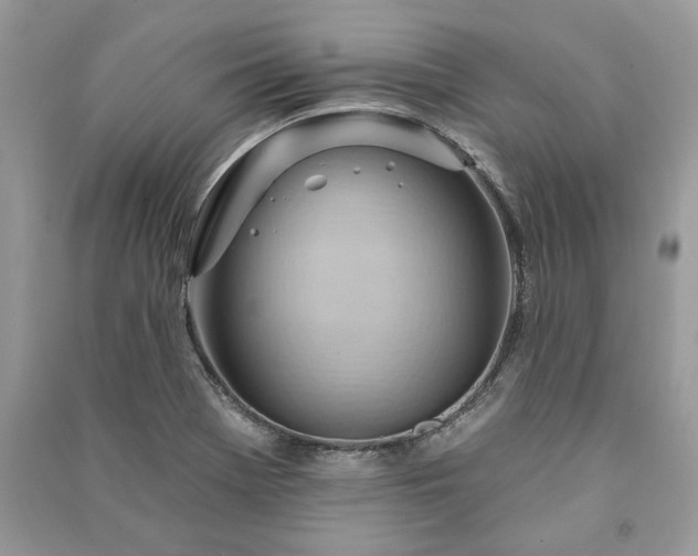 X0000090981369200708091448