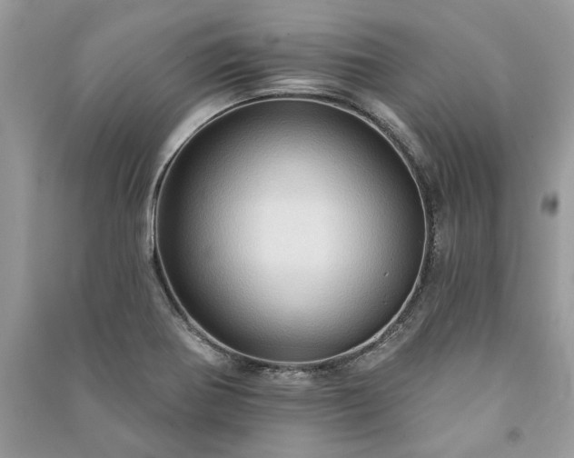 X0000090981370200708091448