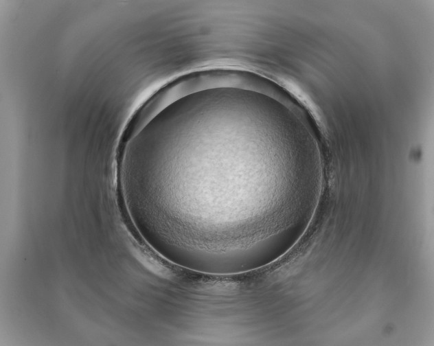 X0000090981372200708091448