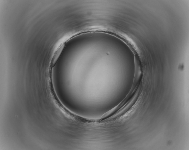 X0000090981373200708091448