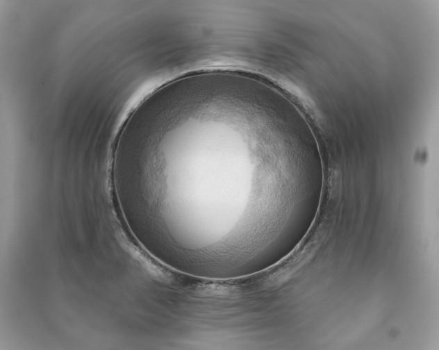 X0000090981374200708091448
