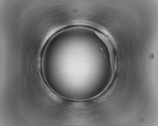 X0000090981376200708091448