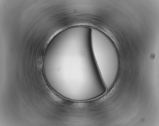 X0000090981377200708091448