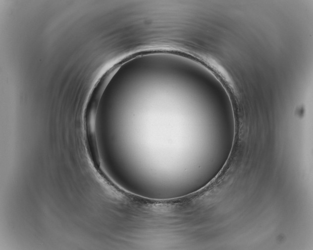 X0000090981380200708091448