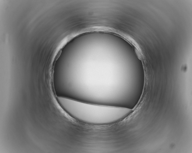 X0000090981381200708091448