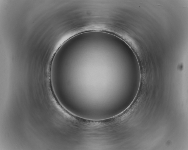 X0000090981382200708091448
