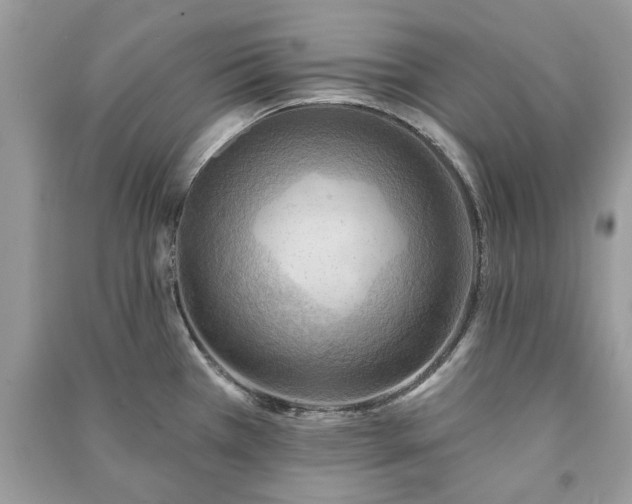 X0000090981385200708091448