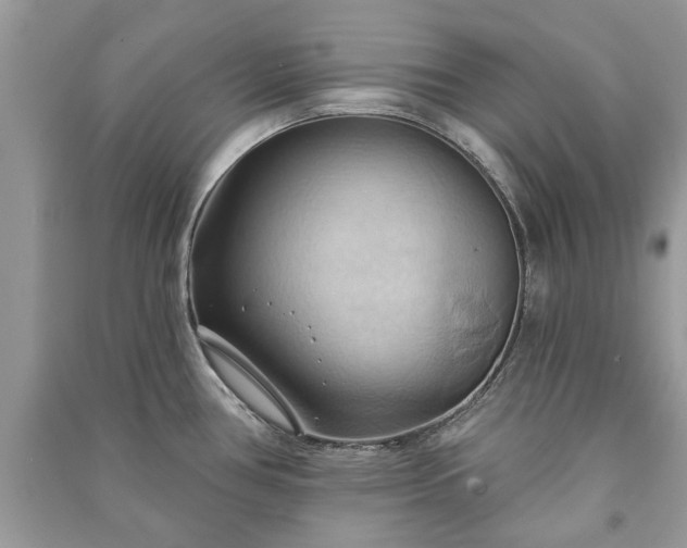 X0000090981386200708091448