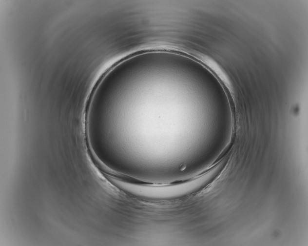 X0000090981388200708091448