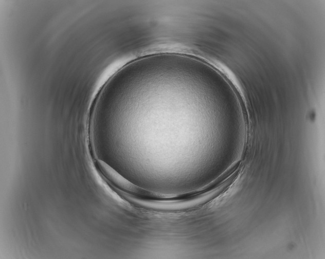 X0000090981389200708091448