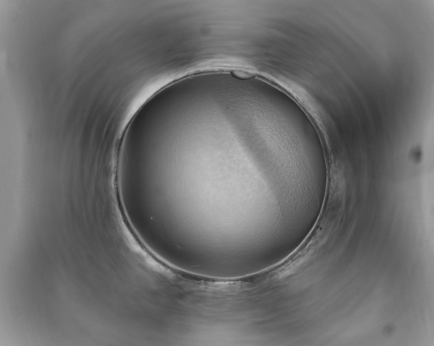 X0000090981390200708091448