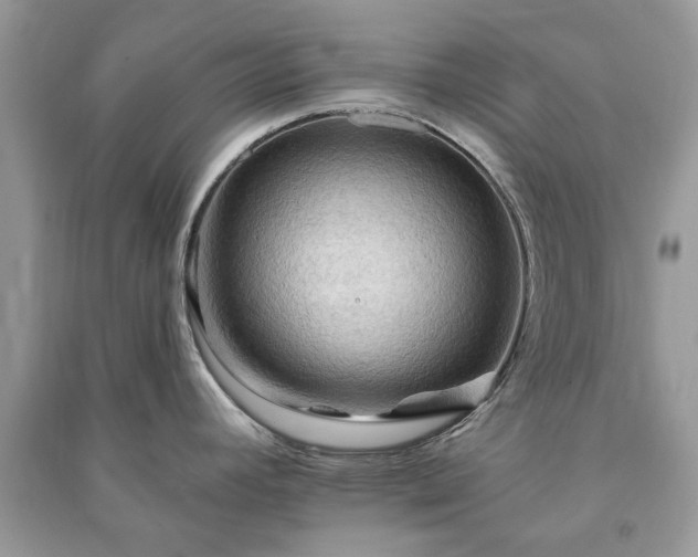 X0000090981392200708091448