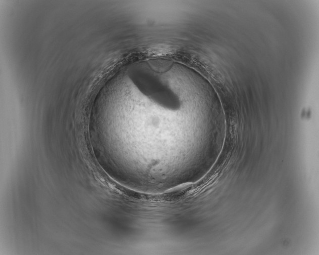 X0000090981393200708091447
