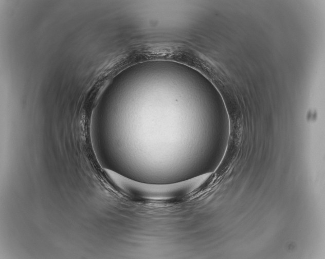 X0000090981394200708091448