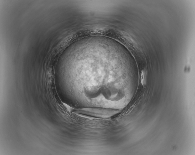 X0000090981395200708091448
