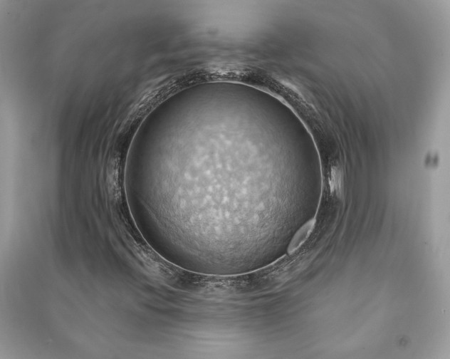 X0000090981396200708091448