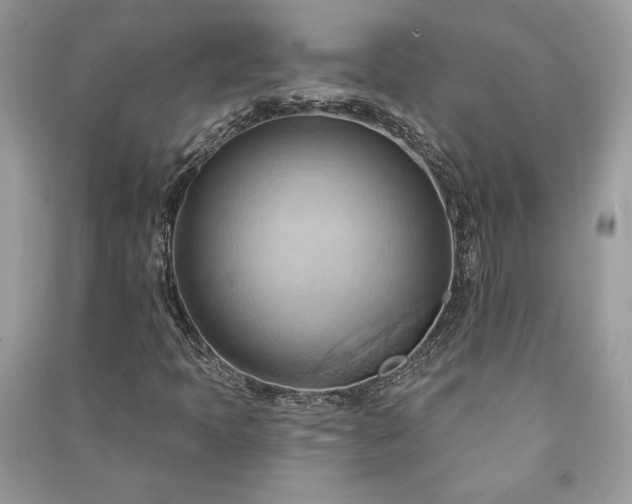 X0000090981397200708091448